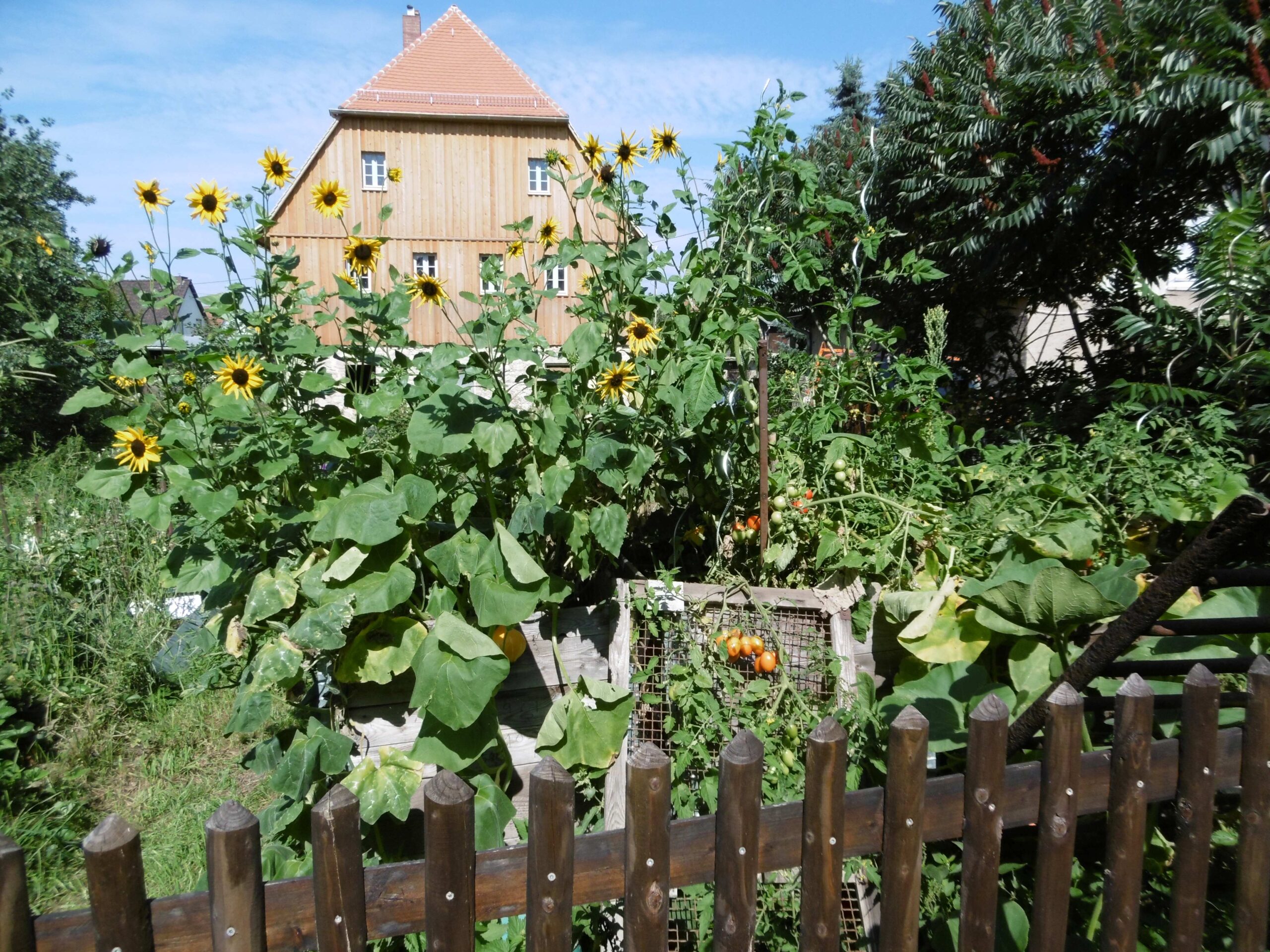 Veranstaltungshinweis: Workshop nachhaltiges Bauen im ländlichen Raum